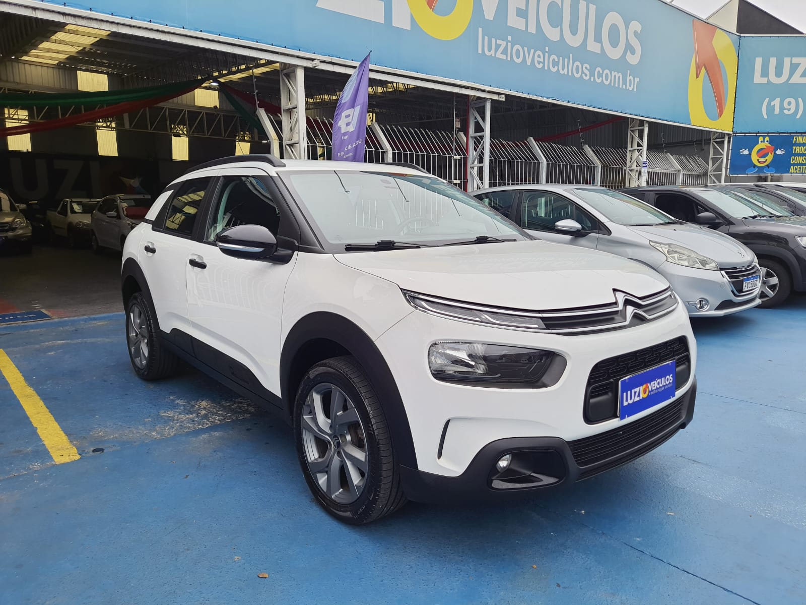 C4 Cactus