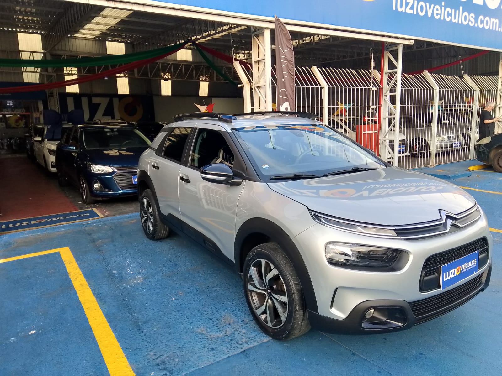 C4 Cactus