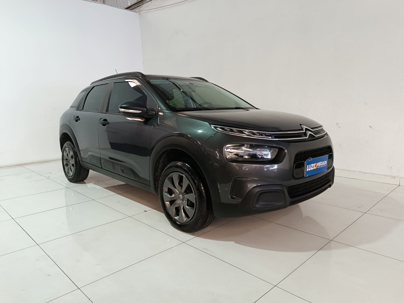 C4 Cactus